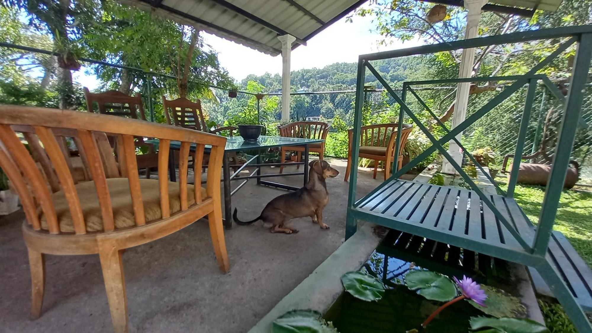Mahaweli Shades Hotell Kandy Exteriör bild