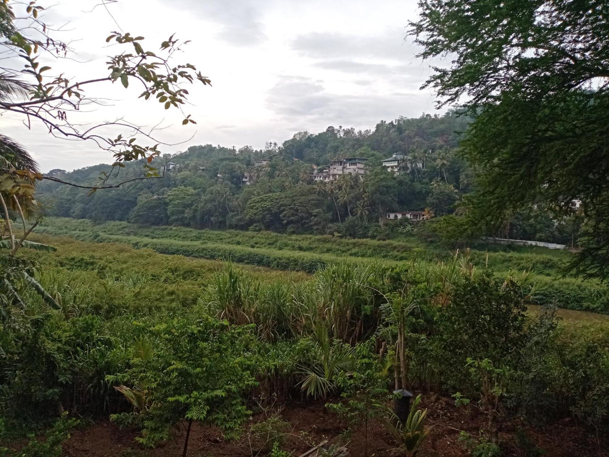 Mahaweli Shades Hotell Kandy Exteriör bild