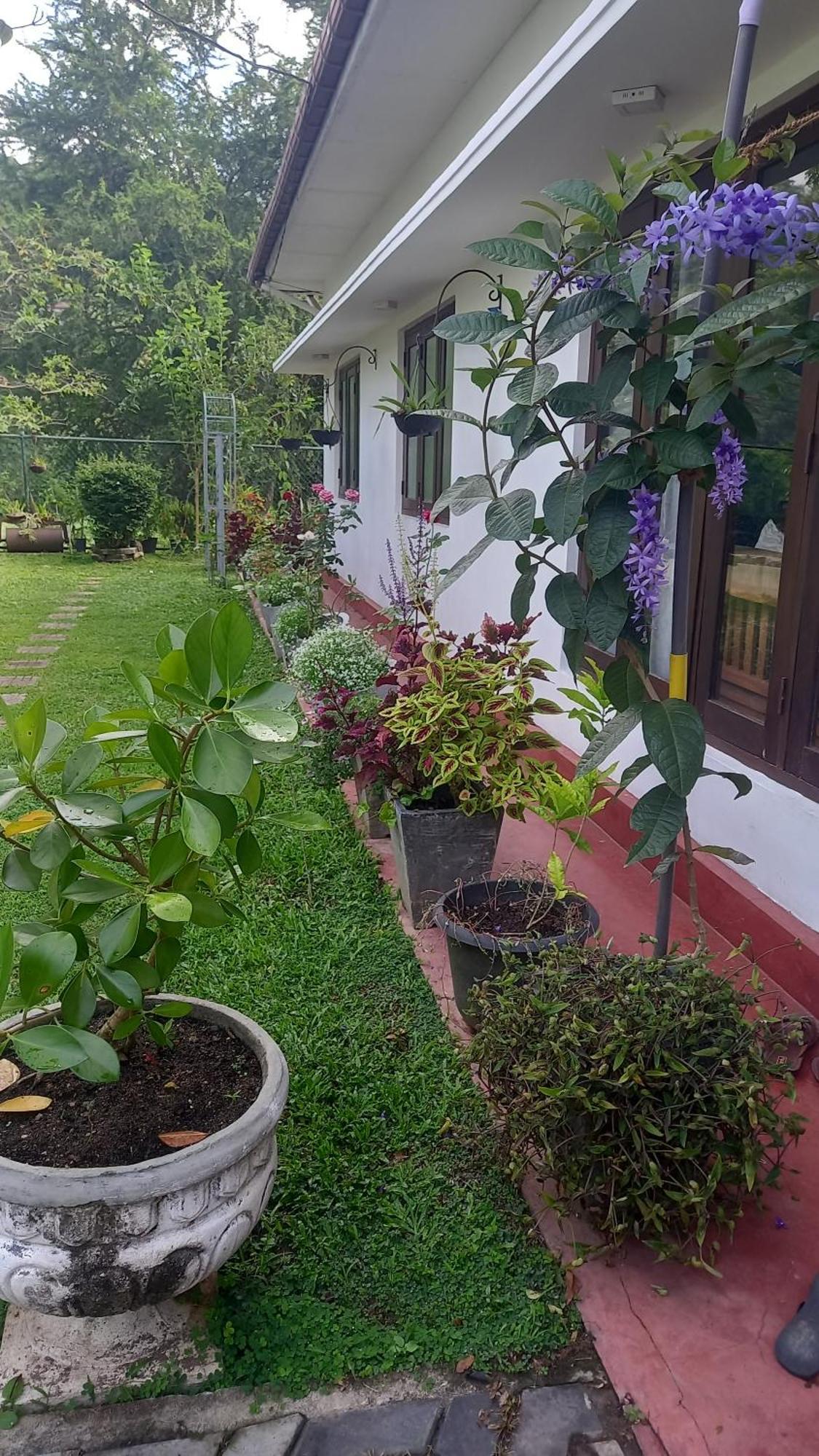 Mahaweli Shades Hotell Kandy Exteriör bild