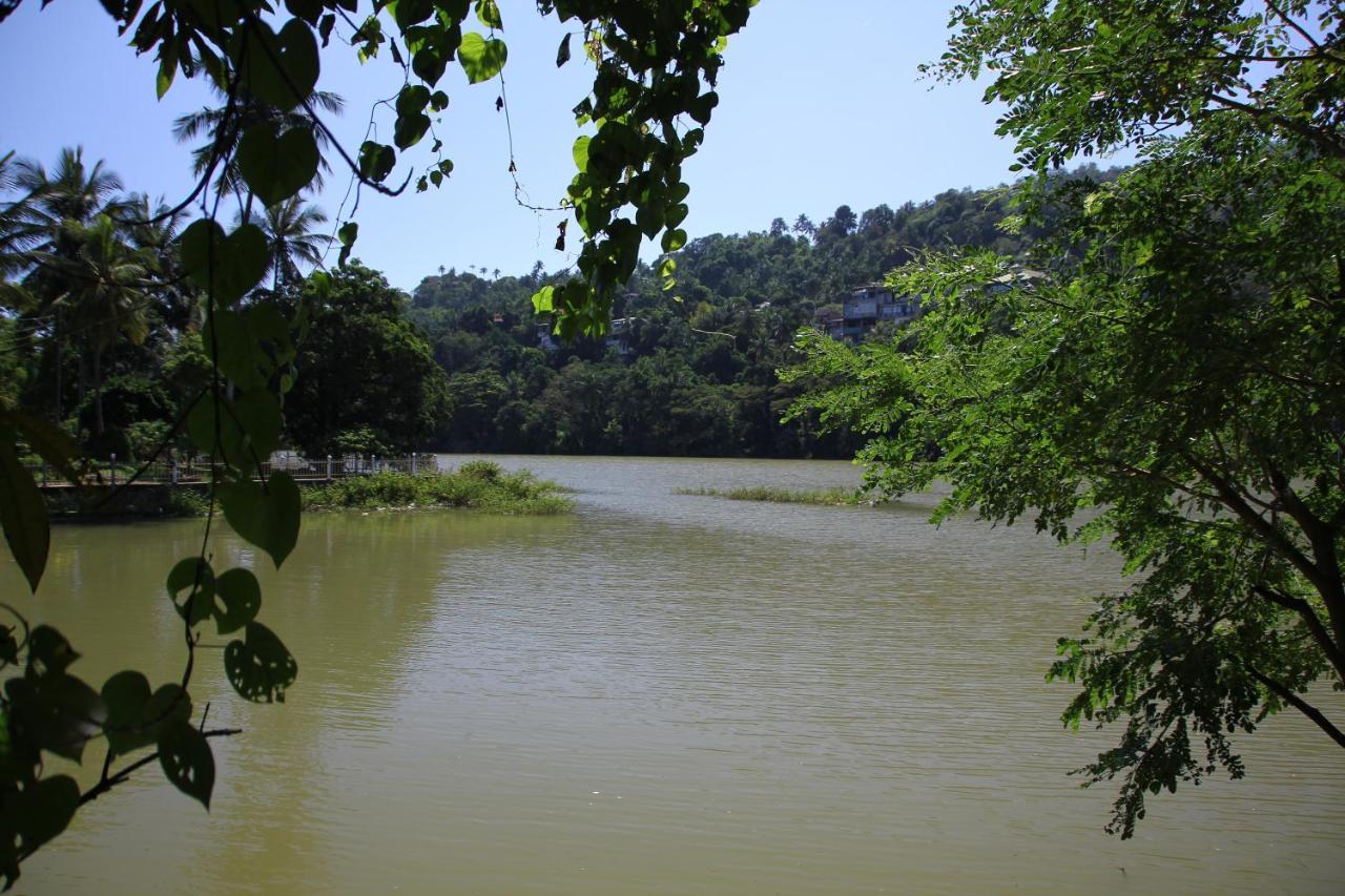 Mahaweli Shades Hotell Kandy Exteriör bild
